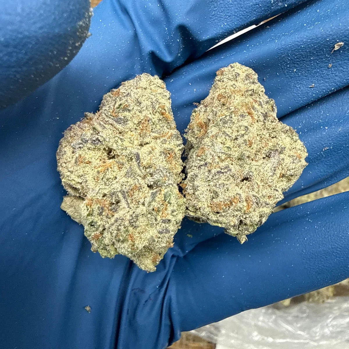 Granny Kandy Flower